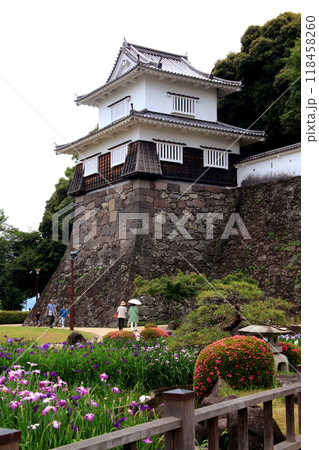 長崎県大村市　大村公園の玖島城堀跡に広がる花菖蒲園の景観 118458260