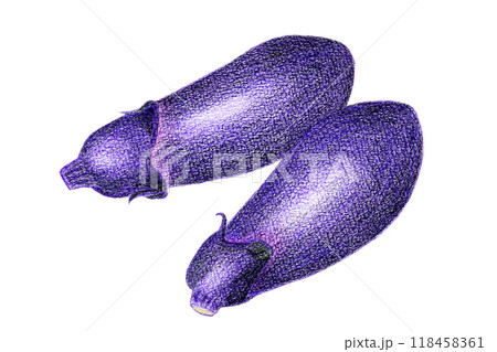 色鉛筆で描いた茄子 118458361