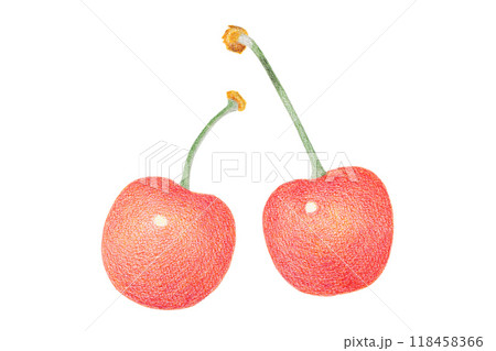 色鉛筆で描いたチェリー 118458366