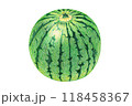色鉛筆で描いたスイカ 118458367