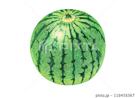 色鉛筆で描いたスイカ 118458367
