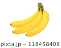 色鉛筆で描いたバナナ 118458408