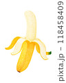 色鉛筆で描いたバナナ 118458409
