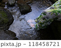 渓流の水につかる女性の足 118458721