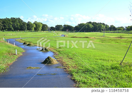早朝のパークゴルフ場 真夏の風景 早朝のパークゴルフ場 真夏の風景 118458758