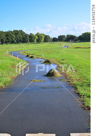 早朝のパークゴルフ場 　真夏の風景　 118458759