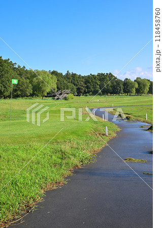 早朝のパークゴルフ場 真夏の風景 早朝のパークゴルフ場 真夏の風景 118458760