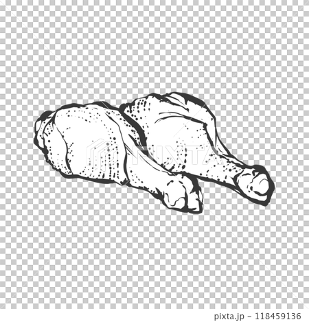 雞翅手繪畫筆風格插畫 118459136