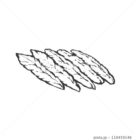 せせりの手描き筆絵風イラスト 118459146