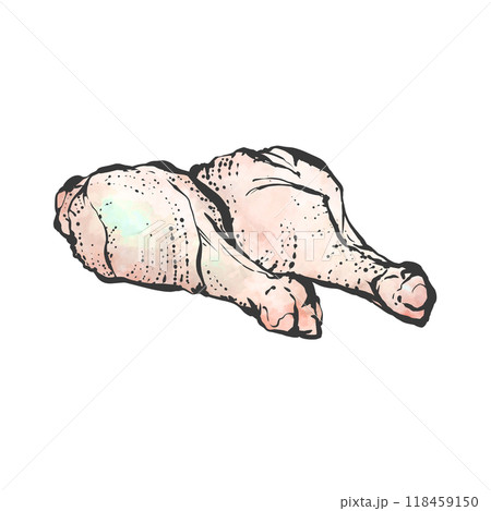 手羽元の手描き筆絵風イラスト 118459150