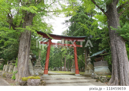 紙祖神 岡太神社・大瀧神社 下宮のニノ鳥居 紙祖神 岡太神社・大瀧神社 下宮のニノ鳥居 118459659