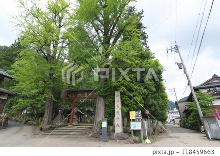 紙祖神 岡太神社・大瀧神社 下宮のニノ鳥居と社号標 紙祖神 岡太神社・大瀧神社 下宮のニノ鳥居と社号標 118459663