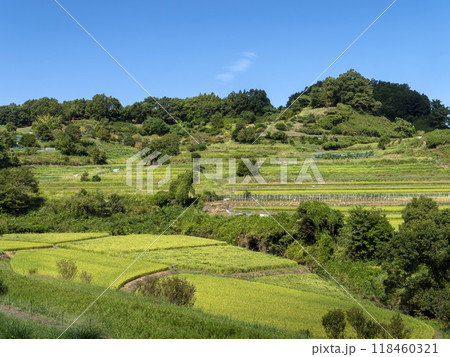 明日香村に広がる稲渕棚田の風景 118460321