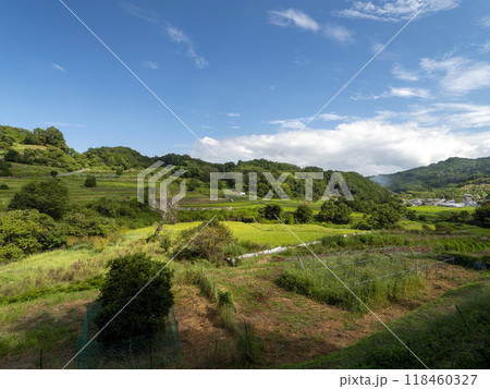 明日香村に広がる稲渕棚田の風景 118460327