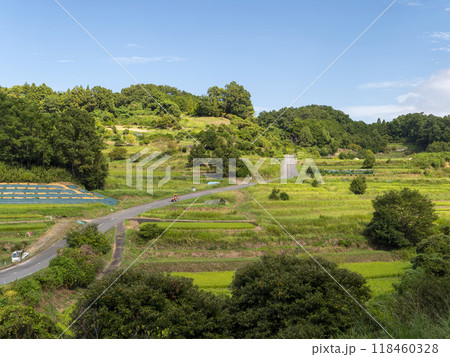 明日香村に広がる稲渕棚田の風景 118460328