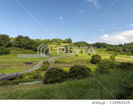 明日香村に広がる稲渕棚田の風景 明日香村に広がる稲渕棚田の風景 118460329