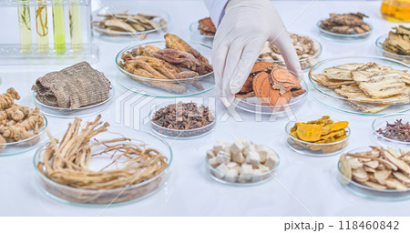 A scientist's gloved hand reaches for a petri dish filled with dried mushroom slices. The image highlights research involving natural ingredients. 118460842