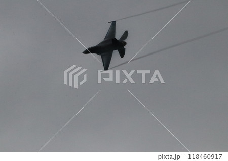 航空ショー 118460917