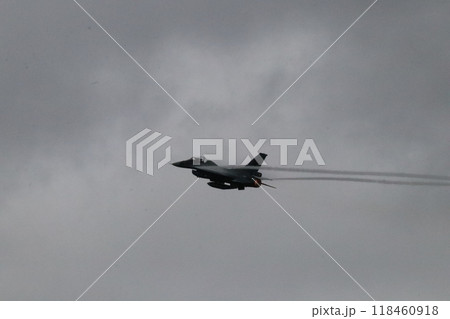 航空ショー 118460918