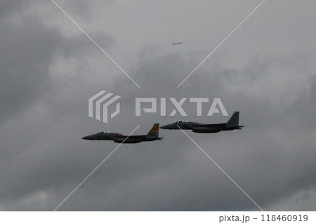 航空ショー 航空ショー 118460919