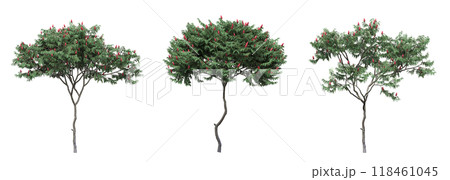 big tree, isolate on a transparent background, 3d illustration big tree, isolate on a transparent background, 3d illustration 118461045