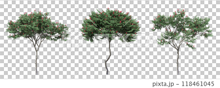 big tree, isolate on a transparent background, 3d illustration big tree, isolate on a transparent background, 3d illustration 118461045