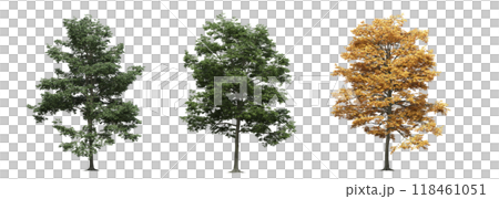 big tree, isolate on a transparent background, 3d illustration big tree, isolate on a transparent background, 3d illustration 118461051