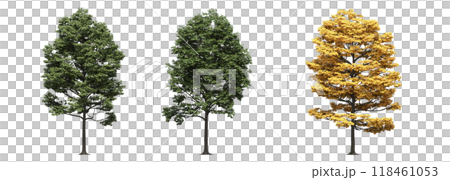 big tree, isolate on a transparent background, 3d illustration 118461053