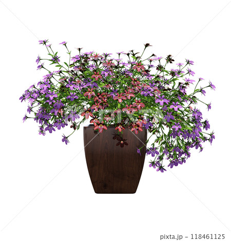 decorative flower in a pot isolate on a transparent background, 3D illustration, cg render decorative flower in a pot isolate on a transparent background, 3D illustration, cg render 118461125