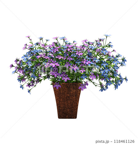 decorative flower in a pot isolate on a transparent background, 3D illustration, cg render decorative flower in a pot isolate on a transparent background, 3D illustration, cg render 118461126