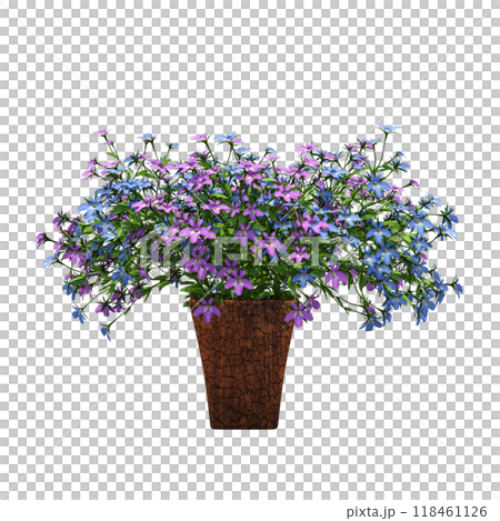 decorative flower in a pot isolate on a transparent background, 3D illustration, cg render decorative flower in a pot isolate on a transparent background, 3D illustration, cg render 118461126