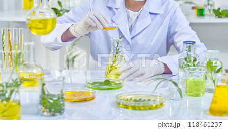 A scientist in a lab coat pours a yellow liquid into a flask containing herbs. The bright, organized lab is filled with various glassware and plant specimens, emphasizing the research process. A scientist in a lab coat pours a yellow liquid into a flask containing herbs. The bright, organized lab is filled with various glassware and plant specimens, emphasizing the research process. 118461237