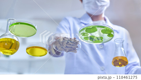 Template photos for experiments features petri dishes, flasks, and test tubes floating with liquids and herbs surround a scientist wearing a lab coat and gloves as they handle a dish of dry herbs.  118461275