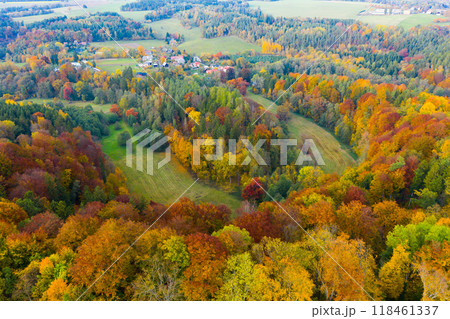 Autumn hilly landscape with colored trees Autumn hilly landscape with colored trees 118461337