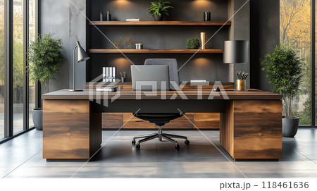 高級なオフィスの書斎 118461636