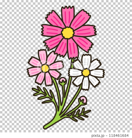 コスモス コスモス 118461684