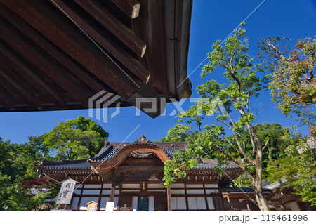 新緑に包まれた山門 　深大寺　新緑 　浮岳山昌楽院　厄除元三大師 118461996