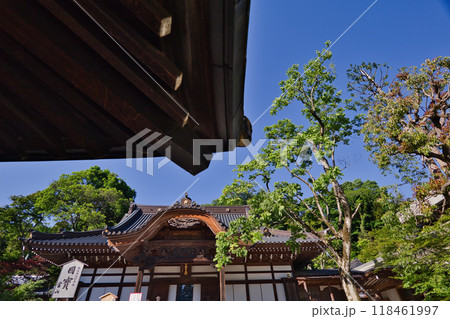 新緑に包まれた山門 深大寺 新緑 浮岳山昌楽院 厄除元三大師 新緑に包まれた山門 深大寺 新緑 浮岳山昌楽院 厄除元三大師 118461997