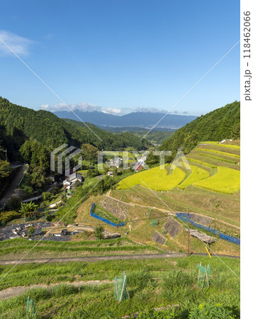 明日香村の高台から見る棚田の風景 118462066
