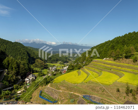 明日香村の高台から見る棚田の風景 明日香村の高台から見る棚田の風景 118462071