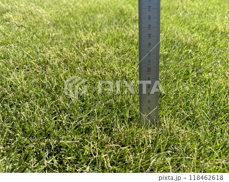 伸びた芝生と金属定規 伸びた芝生と金属定規 118462618