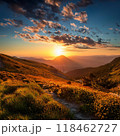 自然の中で見る夕暮れ 118462727