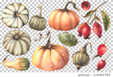 Pumpkins with rose hips. Watercolor wild red briar fruits, dog rose fall harvest elements set. Isolated from background. Autumn illustration Hand drawn design for thanksgiving, halloween greeting card 118462794