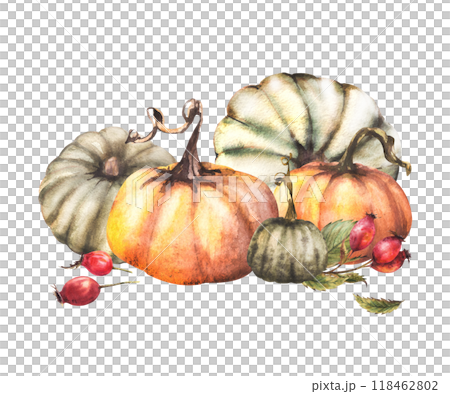 Pumpkins with dog rose arrangement Watercolor wild red briar fruits, rose hips fall harvest clipart Isolated from background. Autumn hand drawn illustration for thanksgiving day, halloween card, label Pumpkins with dog rose arrangement Watercolor wild red briar fruits, rose hips fall harvest clipart Isolated from background. Autumn hand drawn illustration for thanksgiving day, halloween card, label 118462802