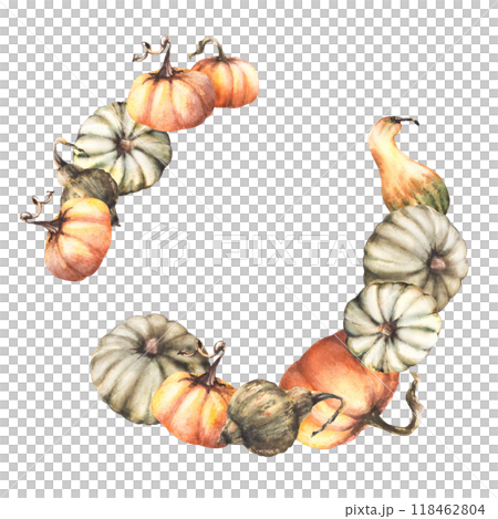 Pumpkins wreath. Fall vegetables harvest circular frame. Isolated from background. Watercolor autumn illustration. Hand drawn nature gardening template. Thanksgiving day, halloween card, label print 118462804