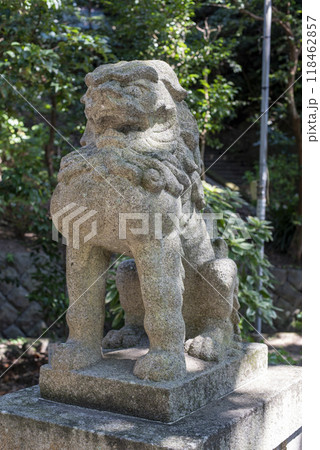 鎌倉249 甘縄神明神社5 鎌倉249 甘縄神明神社5 118462857