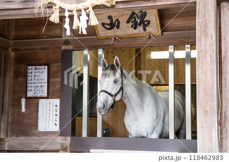《多度大社・神馬舎》三重県桑名市多度町 118462983