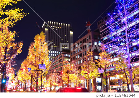 【大阪府】御堂筋イルミネーション 118463044