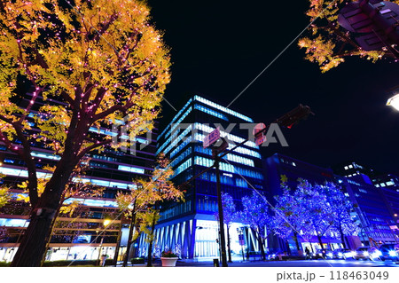 【大阪府】御堂筋イルミネーション 118463049