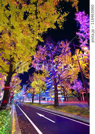 【大阪府】御堂筋イルミネーション 【大阪府】御堂筋イルミネーション 118463060